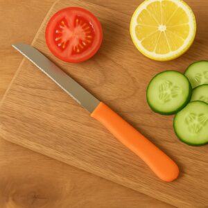 Premium Quality Stainless Steel Handle Plain Knife, Chhari (1 Pc)