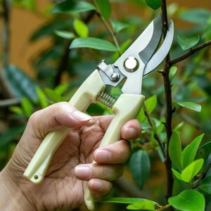 Plant Cutter for Home Garden, Wood Bran (1 Pc)
