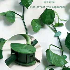 Plant Climbing Wall Fixture Clip (30 Pcs Set)