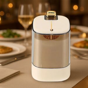 Toothpick Holder Dispensers,  for Home Living room Kitchen Restaurant (1 Pc)