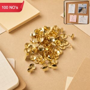 Golden Metal Drawing Pins for Notice Board, Office & School Use 100 No's