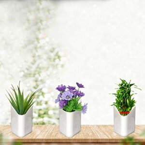 Plastic Vertical Hanging Planter Pot, Multicolour,