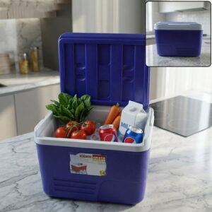 Compact Insulated Ice Box Cooler (1 Pc, 14 Ltr, 35x24 Cm)