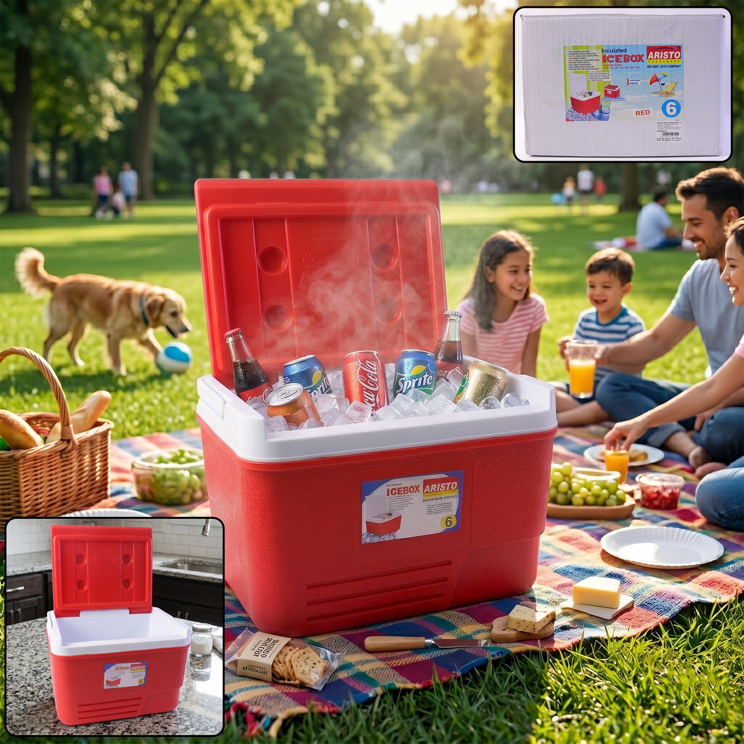 Heavy Duty Insulated Ice Box (1 Pc, Red / 6Ltr)