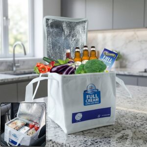 Insulated Thermal Lunch Bag (1 Pc, 23x20 Cm)