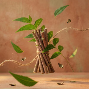 Organic Fresh Neem Datun Sticks Natural Herbal Toothbrush 12 pcs