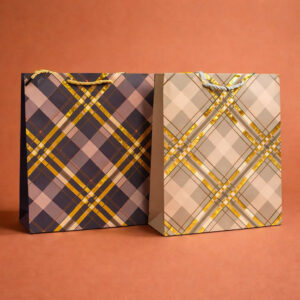 Premium Check Design Gift Bag with Handle Paper Carry Bag (1 PC)
