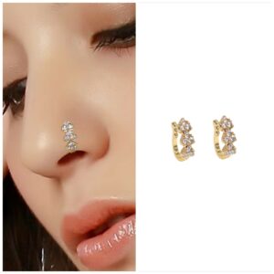 Clip On Nath Nose Pin Combo Floral Heart Stone Fake Piercing Combo Pack of 2