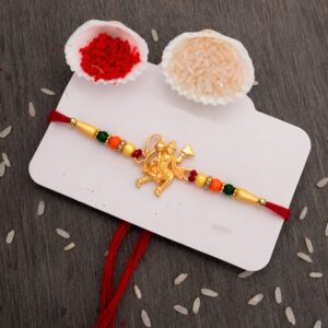 Hanumaan ji Holding  Dronagiri Mountain rakhi