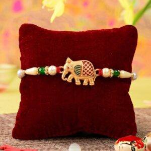 Bhai Ki Rakhi: A Sister's Heartfelt Promise