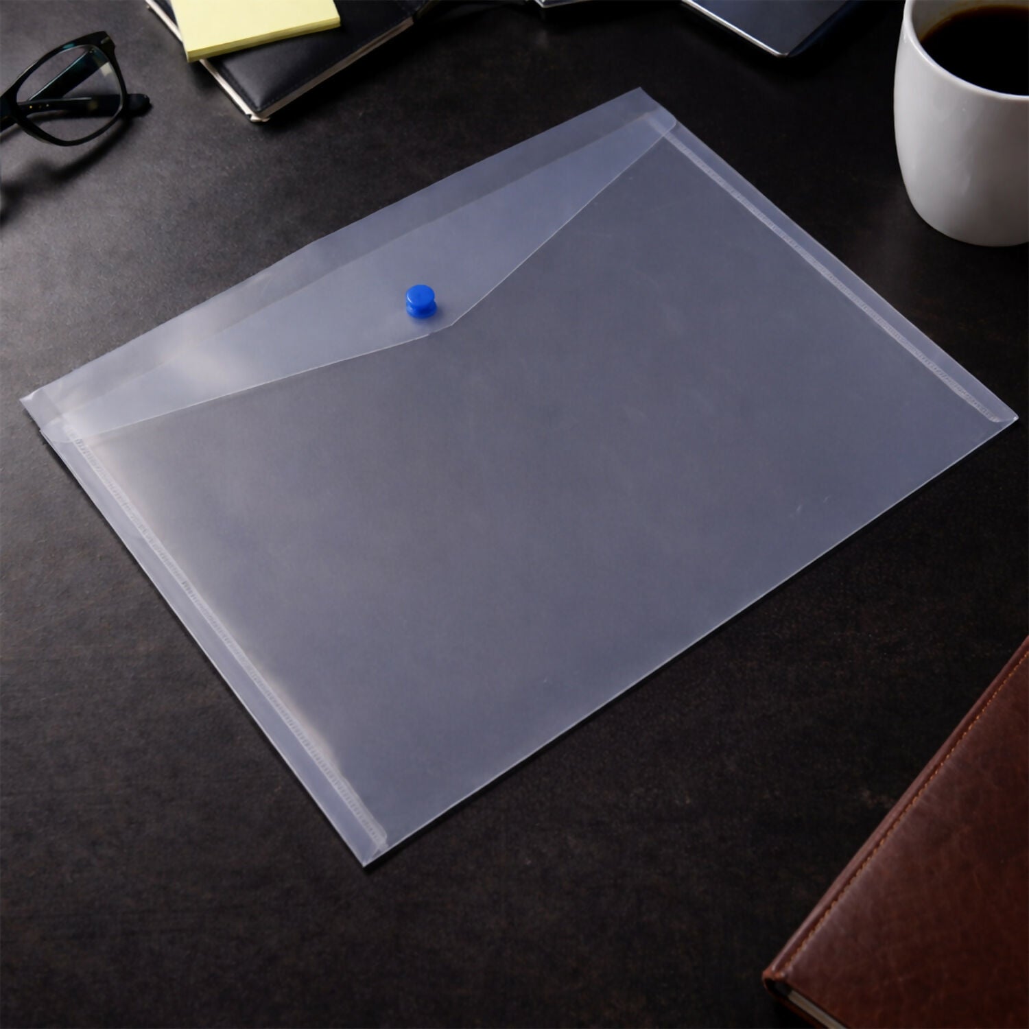 Single Pocket Button Closure Transparent Document File Folder – MIx Colour